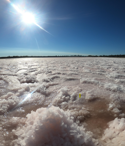 sea salt